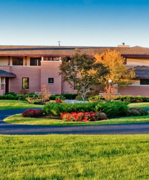 shutterstock_image (15)